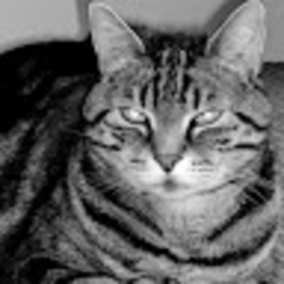 Meet your Posher, Marianne - Picture 1 of 1